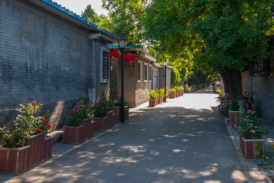 黑芝麻胡同