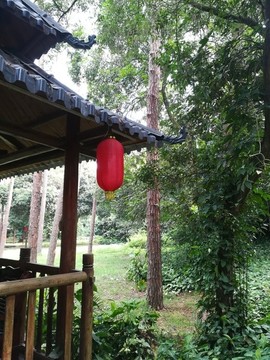 紅燈籠