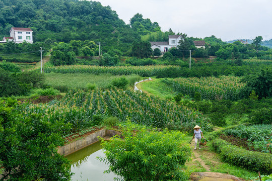 美麗鄉(xiāng)村