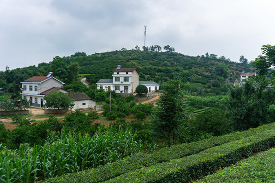 美麗鄉(xiāng)村