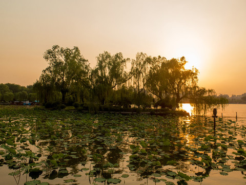 濟(jì)南大明湖夕陽美景