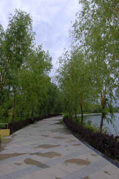 蝶湖公園