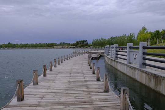 蝶湖公園