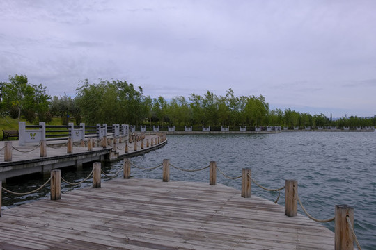 蝶湖公園