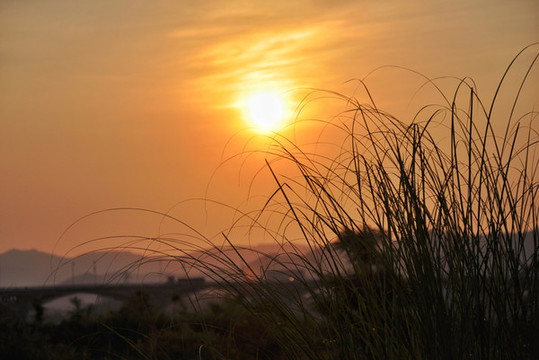 夕陽(yáng)