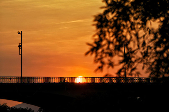 夕陽(yáng)