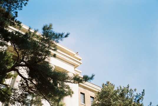 偽滿洲國政務(wù)院