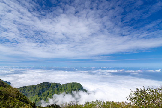 峨眉山的山峰與云海