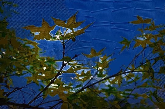 裝飾畫(huà)