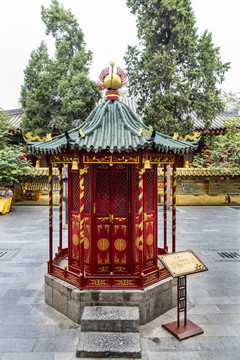 萬年燈
