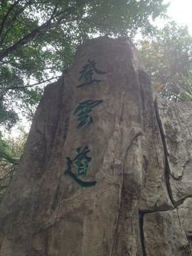 登云道