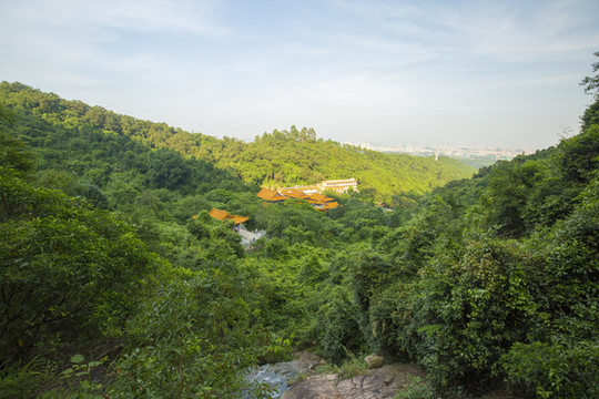 山谷中的觀音寺廟
