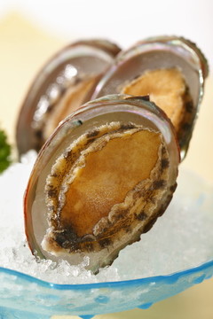 鮑魚