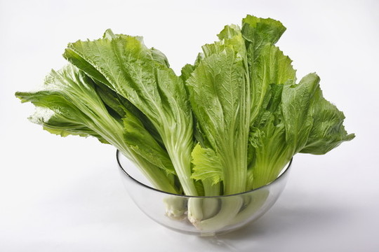 青菜火鍋