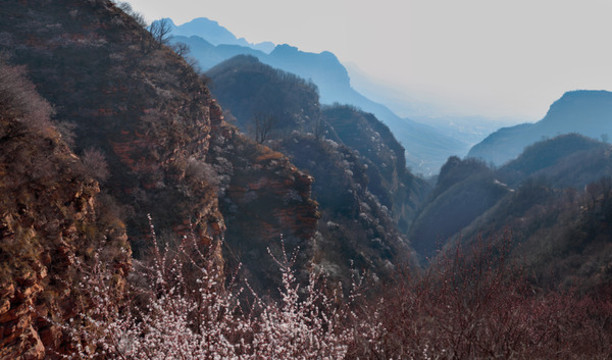 太行桃花開(kāi)9