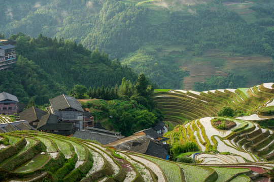 龍脊梯田