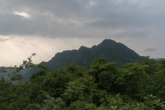 王山坪森林風(fēng)光