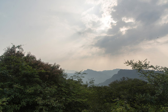 王山坪森林風光