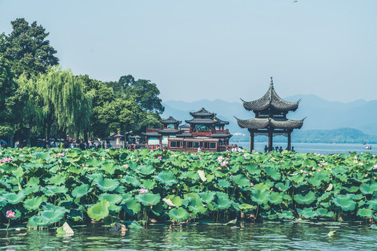 西湖風(fēng)景
