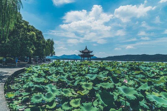 西湖風(fēng)景