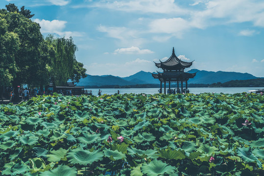 西湖風(fēng)景