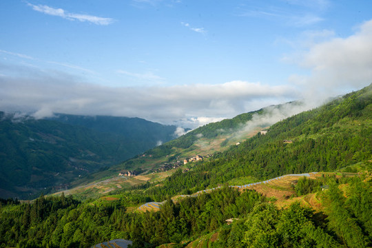 山景