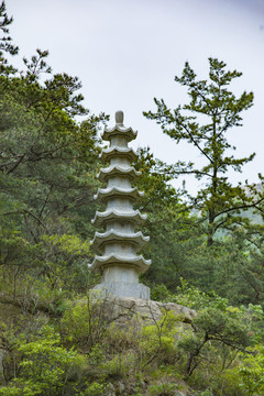 塔