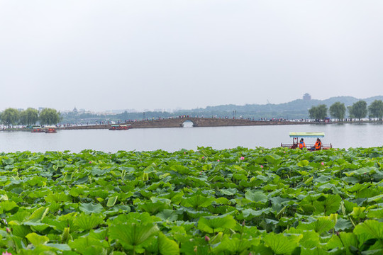杭州西湖