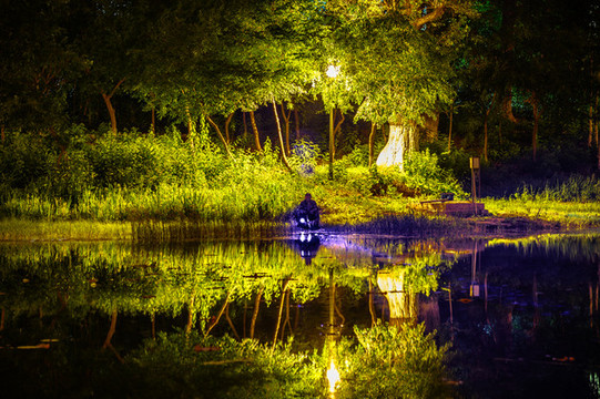 夜晚在長春御花園釣魚景觀