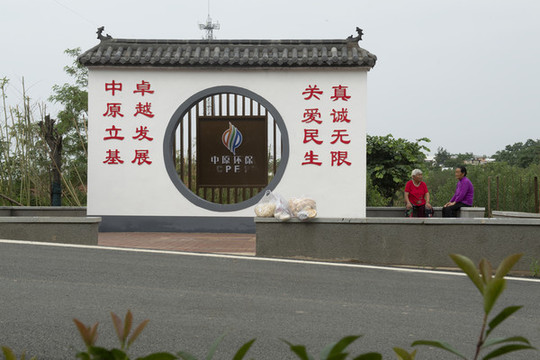 新農(nóng)村建設(shè)