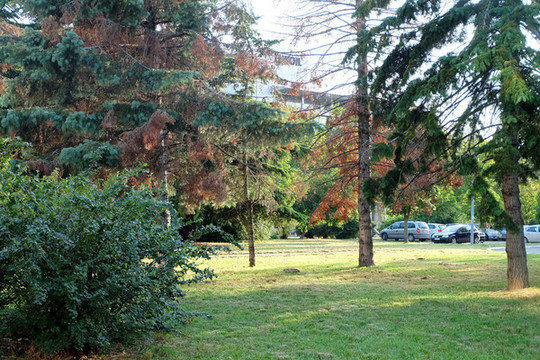 公園