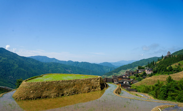 龍脊梯田