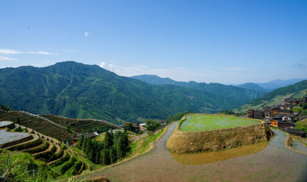 龍脊梯田