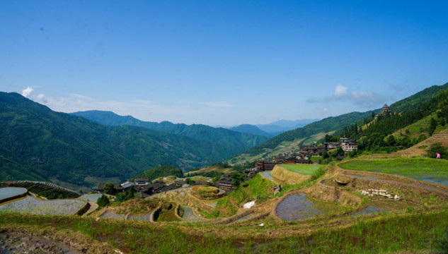 龍脊梯田