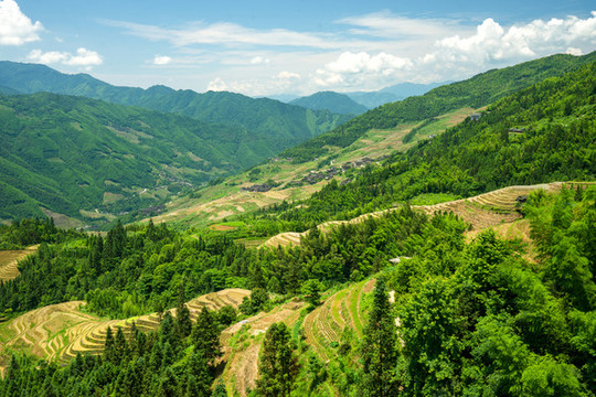 龍脊梯田