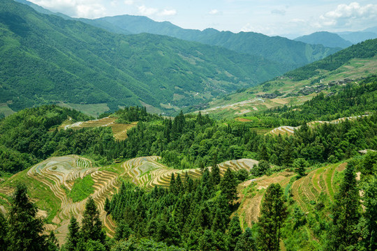 龍脊梯田