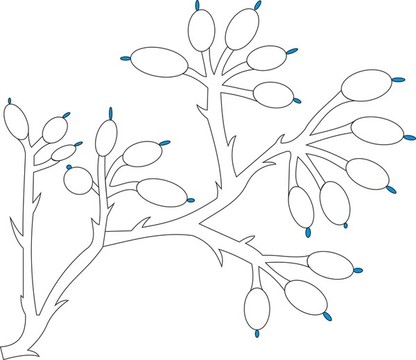 植物花卉鯉魚圖案
