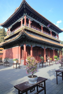 綺望樓