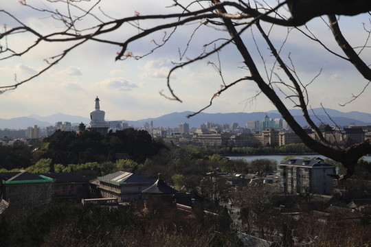 北海公園白塔