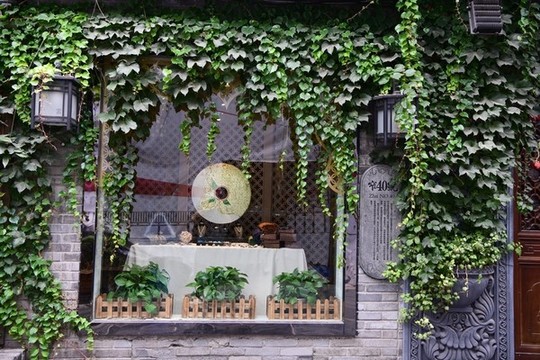 綠植墻