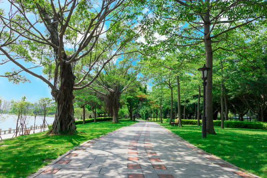 公園綠道