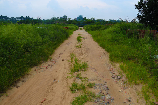 鄉(xiāng)間小路