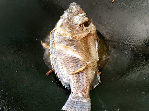 煎羅非魚