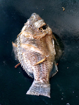 煎魚(yú)