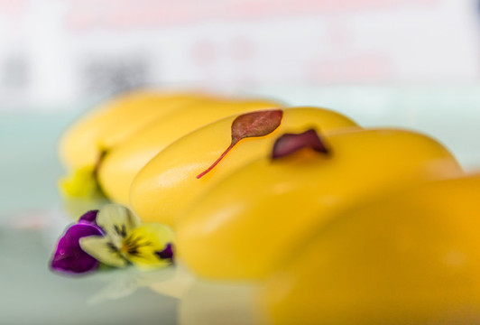 鮮芒橄欖球