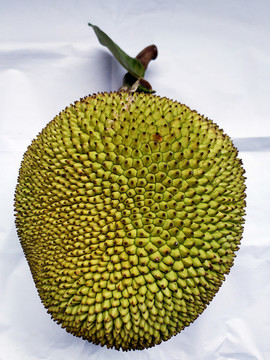 波蘿蜜