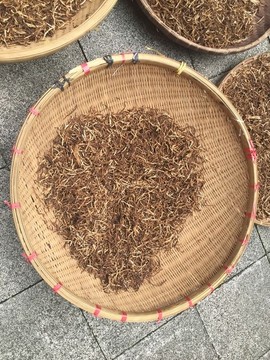 新會陳皮絲