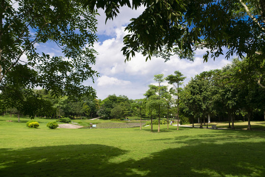 藍(lán)天白云青草地