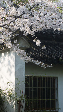 杭州墅園