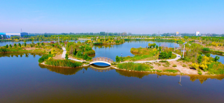 濕地公園